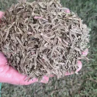 ترخون خشک سوپر لوکس