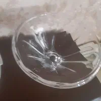 میوه خوری پایه داربوهمیا اصل