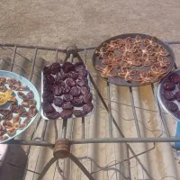 انجیر|خوردنی و آشامیدنی|سیمین شهر, |دیوار