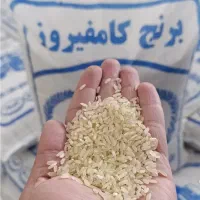 برنج کامفیروزی اصل بکیان