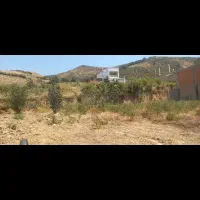 یک-قطعه-زمین-200متری-در-جنگلده-پایین