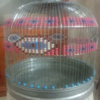 سهره خ