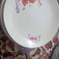 ظروف پذیرایی