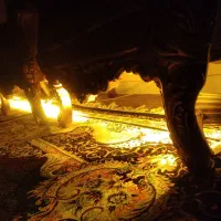 ریسه هفت رنگ و  نورافکن ومحافظ نوتعویض باپرنده