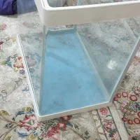 آکواریوم|ماهی|تهران, مسعودیه|دیوار