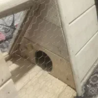 انواع خانه های چوبی برای حیوان خانگی حسینی