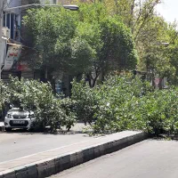 کارگر ساده