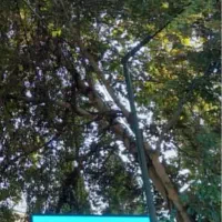 تابلو LED شهری