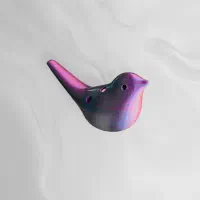 اکارینا ۶ حفره طرح پرنده نت AC