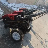 تیلرهای ژاپنی|خدمات باغبانی و درختکاری|لاهیجان, لیل|دیوار