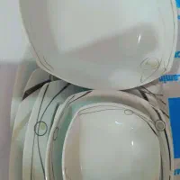 ظروف چینی