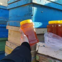 عسل طبیعی|خوردنی و آشامیدنی|الوند, |دیوار