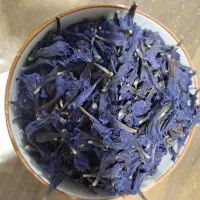 گل گاوزبان