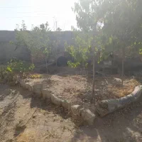 باغچه در کوشک زر|فروش زمین و ملک کلنگی|هشتگرد, کوشک زر|دیوار