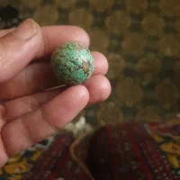 فیروزه نیشابوری