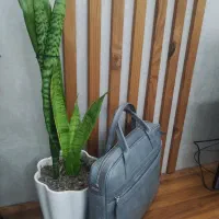 کیف چرم|کیف، کفش، کمربند|قم, بنیاد|دیوار