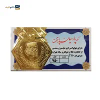 سکه پارسیان