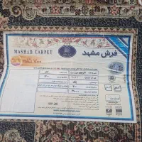 فرش ۶ متری|فرش|همدان, |دیوار