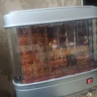 تزیینی|ریسه و چراغ تزئینی|همدان, |دیوار