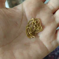 زنجیر ۲گرم دویست سوت