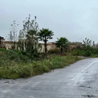 زمین نسق روستای گلسار استاد معین آلمان بر اصلی