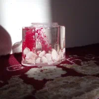 جامدادی رومیزی آکواریومی