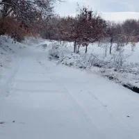 کارت عابر و مقداری پول پیدا کردم