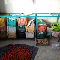 لوازم آشپزخانه|ظروف پخت‌وپز|قوچان, |دیوار