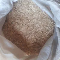 فروش کاه گندم و یونجه