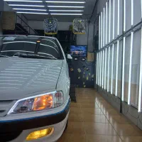 پارس خشک .