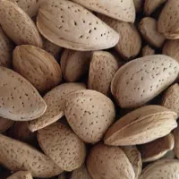بادام سنگی