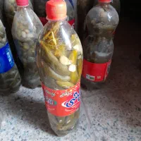 خیارشور