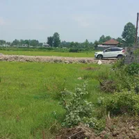 زمین مسکونی|فروش زمین و ملک کلنگی|رشت, لاکان شهر|دیوار