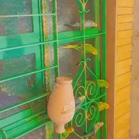 مرغ عشق|پرنده|سراوان, |دیوار