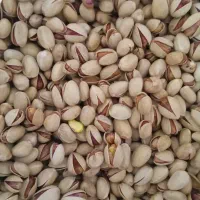 پسته خشک آجیلی|عمدهفروشی|سروستان, |دیوار