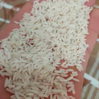 برنج هاشمی  سورتینگ شده خوش پخت
