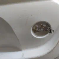 سپر عقب تیبا2