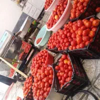 آبگیری کوجه بادستگاه استیل با دستکش مخصوص