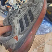 کفش بچگانه|کفش و لباس بچه|رشت, حمیدیان|دیوار