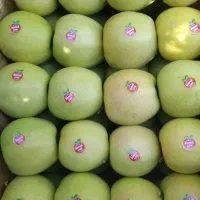 سیب سفید دو ردیفه