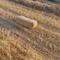 پرس کاه گندم