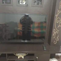 تلوزیون|تلویزیون و پروژکتور|قزوین, |دیوار