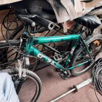 دوچرخه|دوچرخه، اسکیت، اسکوتر|شاهین‌شهر, گزبرخوار|دیوار