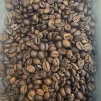 فروش عمده قهوه