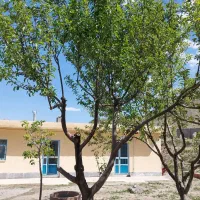 اقامتگاه بومگردی ریحون|اجارهٔ کوتاه‌مدت ویلا و باغ|فریمان, |دیوار