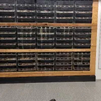 خدمات باغبانی وسمپاشی|خدمات باغبانی و درختکاری|تهران, آهنگ|دیوار