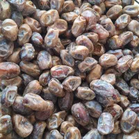 خرما فروشی