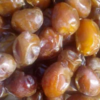 خرما بزمانی تازه