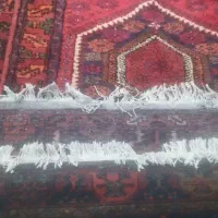 دوعددفرش دست بافت کاملا سنتی باطرحی قشنگ|فرش|شیراز, سعدیه جنوبی|دیوار