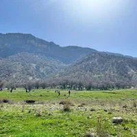 زمین ۲۰۰ متری و ۱۵۰ متری